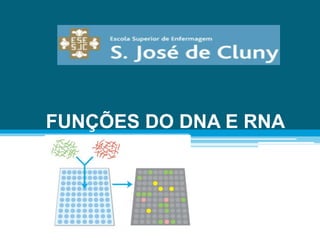 FUNÇÕES DO DNA E RNA
 