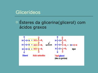 Glicerídeos


Ésteres da glicerina(glicerol) com
ácidos graxos

 