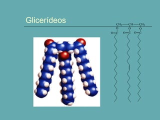 Glicerídeos

CH2
O
O C

CH
O
O

C

CH2
O
O

C

 