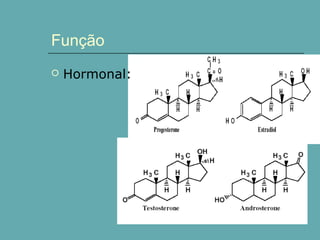 Função


Hormonal:

 