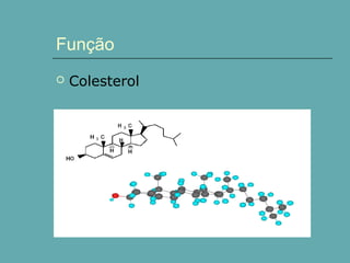 Função


Colesterol

 
