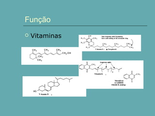 Função


Vitaminas

 
