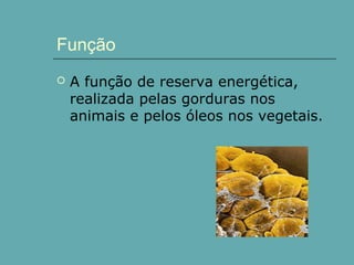 Função


A função de reserva energética,
realizada pelas gorduras nos
animais e pelos óleos nos vegetais.

 
