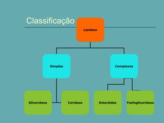 Classificação
Lipídeos

Simples

Glícerideos

Complexos

Cerídeos

Esteróides

Fosfoglicerídeos

 