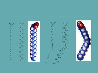 -

O

O
C

-

O

O
C

CH2
CH2
CH 2
CH2
CH2
CH2
CH2
CH2
CH2
CH2
CH2
CH2
CH2
CH2
CH2
CH2
CH3

-

O

O

-

O

O

C

C
CH 2
CH2
CH 2
CH2
CH 2
CH2
CH H
C
C
CH2 H
CH2
CH2
CH2
CH3

CH2

CH2

CH2

 