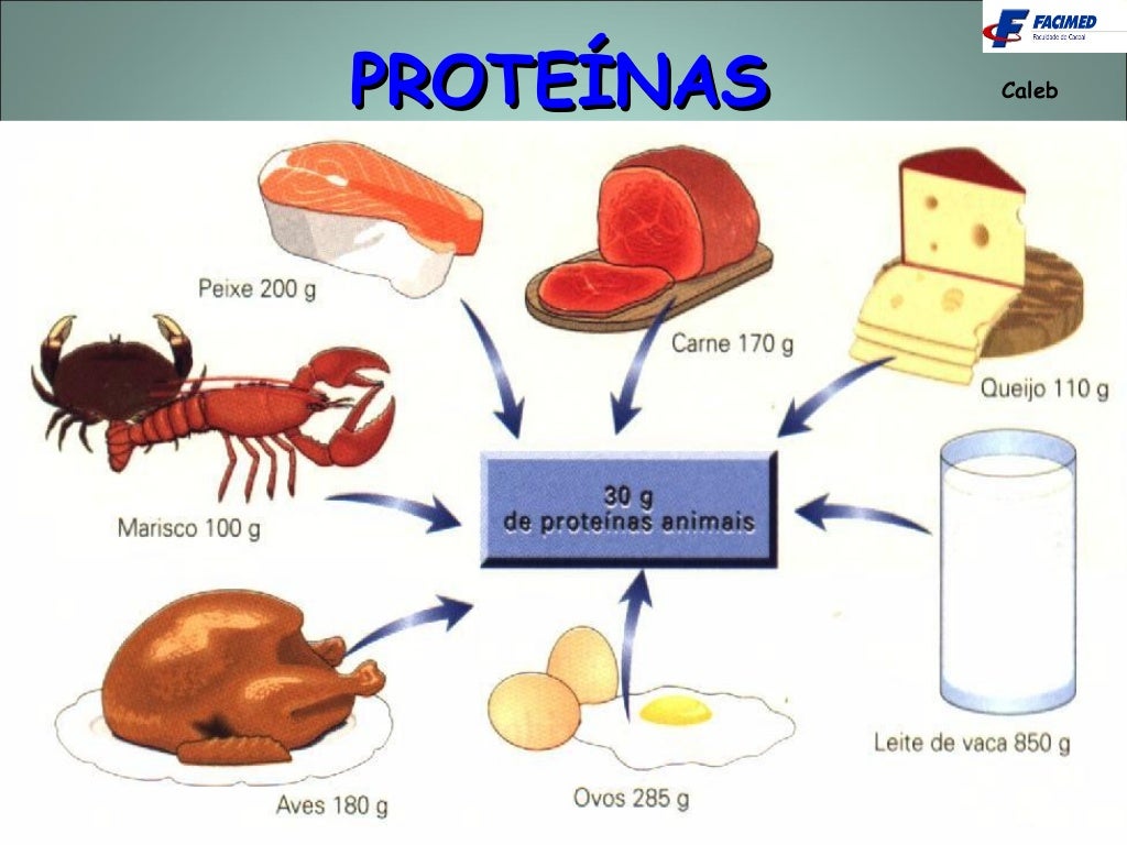 Bioquímica metabolismo de proteínas