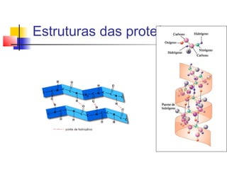 Estruturas das proteínas

 