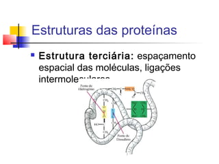 Estruturas das proteínas


Estrutura terciária: espaçamento
espacial das moléculas, ligações
intermoleculares

 