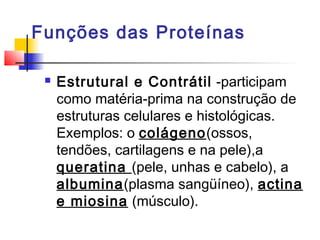 Funções das Proteínas


Estrutural e Contrátil -participam
como matéria-prima na construção de
estruturas celulares e histológicas.
Exemplos: o colágeno(ossos,
tendões, cartilagens e na pele),a
queratina (pele, unhas e cabelo), a
albumina(plasma sangüíneo), actina
e miosina (músculo).

 