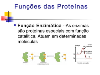 Funções das Proteínas


Função Enzimática - As enzimas
são proteínas especiais com função
catalítica. Atuam em determinadas
moléculas

 