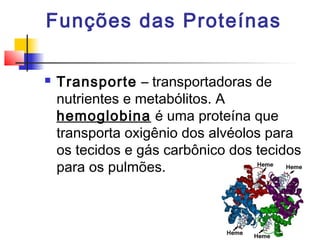 Funções das Proteínas


Transporte – transportadoras de
nutrientes e metabólitos. A
hemoglobina é uma proteína que
transporta oxigênio dos alvéolos para
os tecidos e gás carbônico dos tecidos
para os pulmões.

 