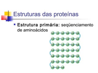 Estruturas das proteínas


Estrutura primária: seqüenciamento
de aminoácidos

 