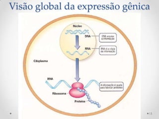 Visão global da expressão gênica




                               13
 