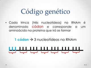 Código genético
• Cada trinca (três nucleotídeos) no RNAm é
  denominado códon e corresponde a um
  aminoácido na proteína que irá se formar


    1 códon  3 nucleotídeos no RNAm




                                          20
 