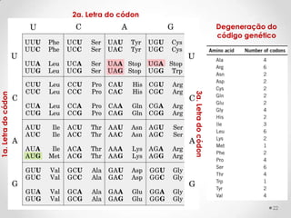 2a. Letra do códon
                                                               Degeneração do
                                                               código genético




                                          3a. Letra do códon
1a. Letra do códon




                                                                            22
 