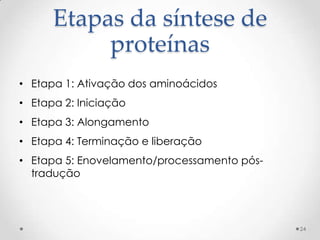 Etapas da síntese de
           proteínas
• Etapa 1: Ativação dos aminoácidos
• Etapa 2: Iniciação
• Etapa 3: Alongamento
• Etapa 4: Terminação e liberação
• Etapa 5: Enovelamento/processamento pós-
  tradução




                                             24
 