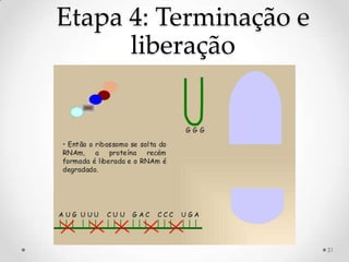 Etapa 4: Terminação e
      liberação




                        31
 