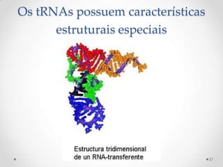 Os tRNAs possuem características
      estruturais especiais




                                   37
 