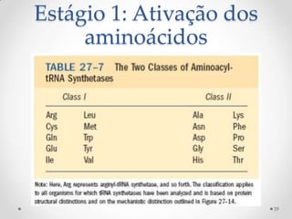 Estágio 1: Ativação dos
     aminoácidos




                          39
 