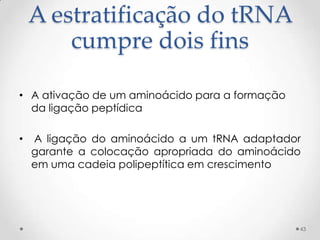 A estratificação do tRNA
        cumpre dois fins

• A ativação de um aminoácido para a formação
  da ligação peptídica

•   A ligação do aminoácido a um tRNA adaptador
    garante a colocação apropriada do aminoácido
    em uma cadeia polipeptítica em crescimento




                                                43
 