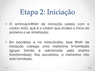 Etapa 2: Iniciação
• O aminoacil-RNAt de iniciação pareia com o
  códon AUG, que é o códon que sinaliza o início da
  proteína a ser sintetizada;


• Em bactérias e na mitocôndria, esse RNAt de
  iniciação carrega uma metionina N-formilada
  (grupo formila é adicionado pela enzima
  transformilase). Nos eucariotos, a metionina não
  está formilada;

                                                  46
 