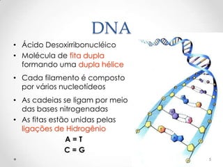 DNA
• Ácido Desoxirribonucléico
• Molécula de fita dupla
  formando uma dupla hélice
• Cada filamento é composto
  por vários nucleotídeos
• As cadeias se ligam por meio
  das bases nitrogenadas
• As fitas estão unidas pelas
  ligações de Hidrogênio
               A=T
               C=G
                                 5
 