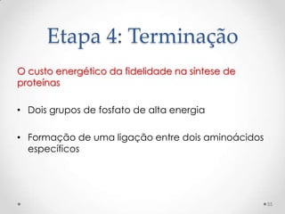 Etapa 4: Terminação
O custo energético da fidelidade na síntese de
proteínas

• Dois grupos de fosfato de alta energia

• Formação de uma ligação entre dois aminoácidos
  específicos




                                                   55
 