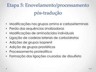 Etapa 5: Enovelamento/processamento
                   pós-tradução

•    Modificações nos grupos amino e carboxiterminais
•    Perda das sequências sinalizadoras
•    Modificações de aminoácidos individuais
•    Ligação de cadeias laterais de carboidratos
•    Adições de grupos isoprenil
•    Adição de grupos prostéticos
•    Processamento proteolítico
•    Formação das ligações cruzadas de dissulfeto


                                                        60
 