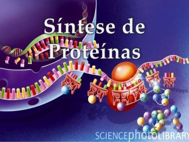 sintese de proteinas ppt Sintese de proteinas ppt.