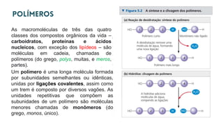 As macromoléculas de três das quatro
classes dos compostos orgânicos da vida –
carboidratos, proteínas e ácidos
nucleicos, com exceção dos lipídeos – são
moléculas em cadeia, chamadas de
polímeros (do grego, polys, muitas, e meros,
partes).
Um polímero é uma longa molécula formada
por subunidades semelhantes ou idênticas,
unidas por ligações covalentes, assim como
um trem é composto por diversos vagões. As
unidades repetitivas que compõem as
subunidades de um polímero são moléculas
menores chamadas de monômeros (do
grego, monos, único).
 
