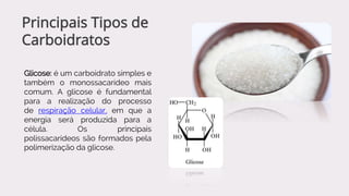 Glicose: é um carboidrato simples e
também o monossacarídeo mais
comum. A glicose é fundamental
para a realização do processo
de respiração celular, em que a
energia será produzida para a
célula. Os principais
polissacarídeos são formados pela
polimerização da glicose.
Principais Tipos de
Carboidratos
 