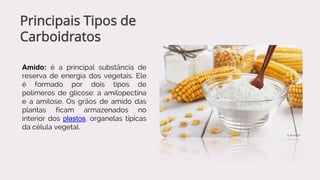 Amido: é a principal substância de
reserva de energia dos vegetais. Ele
é formado por dois tipos de
polímeros de glicose: a amilopectina
e a amilose. Os grãos de amido das
plantas ficam armazenados no
interior dos plastos, organelas típicas
da célula vegetal.
Principais Tipos de
Carboidratos
 