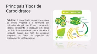Celulose: é encontrada na parede celular
da célula vegetal e é formada por
unidades de glicose. É um carboidrato
fibroso, resistente e insolúvel em água.
Um fato interessante é que a madeira é
formada quase que 50% de celulose,
enquanto as fibras de algodão são
praticamente 100% celulose.
Principais Tipos de
Carboidratos
 