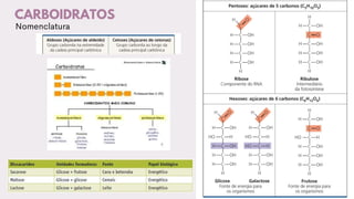 CARBOIDRATOS
 