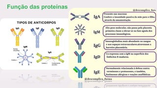 Função das proteínas
 