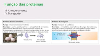 III. Armazenamento
IV.Transporte
Função das proteínas
 
