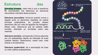 Estrutura das
proteínas
Estrutura primária: nada mais é que a sequência
de aminoácidos. Ela determina as estruturas
secundária e terciária dessa proteína.
Estrutura secundária: forma-se quando ocorre a
ligação entre os elementos repetidos da cadeia
principal polipeptídica. As junções desses
elementos são por meio de ligações de hidrogênio.
Nesse caso, observa-se que as cadeias estão
torcidas, dobradas ou enroladas sobre elas
mesmas.
Estrutura terciária: corresponde à forma adquirida
por um polipeptídeo depois da interação de suas
cadeias laterais. Observamos, nesse caso, mais
dobras e enrolamentos.
Estrutura quaternária: há a associação de duas
ou mais cadeias polipeptídicas.
 