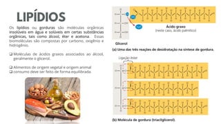 LIPÍDIOS
Os lipídios ou gorduras são moléculas orgânicas
insolúveis em água e solúveis em certas substâncias
orgânicas, tais como álcool, éter e acetona. Essas
biomoléculas são compostas por carbono, oxigênio e
hidrogênio.
 Moléculas de ácidos graxos associados ao álcool,
geralmente o glicerol.
 Alimentos de origem vegetal e origem animal
 consumo deve ser feito de forma equilibrada.
 