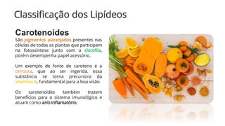 Classificação dos Lipídeos
Carotenoides
São pigmentos alaranjados presentes nas
células de todas as plantas que participam
na fotossíntese junto com a clorofila,
porém desempenha papel acessório.
Um exemplo de fonte de caroteno é a
cenoura, que ao ser ingerida, essa
substância se torna precursora da
vitamina A, fundamental para a boa visão.
Os carotenoides também trazem
benefícios para o sistema imunológico e
atuam como anti-inflamatório.
 