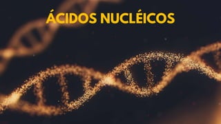 ÁCIDOS NUCLÉICOS
 