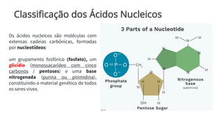 Classificação dos Ácidos Nucleicos
Os ácidos nucleicos são moléculas com
extensas cadeias carbônicas, formadas
por nucleotídeos:
um grupamento fosfórico (fosfato), um
glicídio (monossacarídeo com cinco
carbonos / pentoses) e uma base
nitrogenada (purina ou pirimidina),
constituindo o material genético de todos
os seres vivos.
 