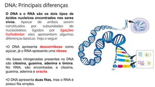 DNA: Principais diferenças
O DNA e o RNA são os dois tipos de
ácidos nucleicos encontrados nos seres
vivos. Apesar de ambos serem
constituídos por subunidades de
nucleotídeos ligados por ligações
fosfodiéster, eles apresentam algumas
diferenças básicas. Veja a seguir:
•O DNA apresenta desoxirribose como
açúcar, já o RNA apresenta uma ribose.
•As bases nitrogenadas presentes no DNA
são citosina, guanina, adenina e timina.
No RNA, são encontradas a citosina,
guanina, adenina e uracila.
•O DNA apresenta duas fitas, mas o RNA é
possui fita simples.
 