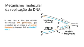 Mecanismo molecular
da replicação do DNA
O novo DNA é feito por enzimas
denominadas DNA polimerases, que
necessitam de um molde e um primer
(iniciador) e sintetizam DNA na direção 5'
para 3'.
 