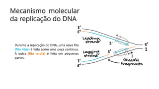 Mecanismo molecular
da replicação do DNA
Durante a replicação do DNA, uma nova fita
(fita líder) é feita como uma peça contínua.
A outra (fita tardia) é feita em pequenas
partes.
 