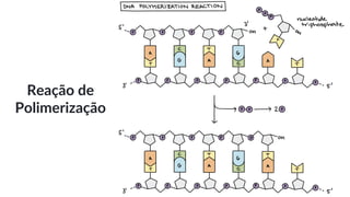 Reação de
Polimerização
 