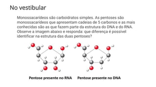 No vestibular
Monossacarídeos são carboidratos simples. As pentoses são
monossacarídeos que apresentam cadeias de 5 carbonos e as mais
conhecidas são as que fazem parte da estrutura do DNA e do RNA.
Observe a imagem abaixo e responda: que diferença é possível
identificar na estrutura das duas pentoses?
 