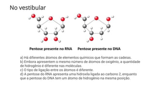 No vestibular
a) Há diferentes átomos de elementos químicos que formam as cadeias.
b) Embora apresentem o mesmo número de átomos de oxigênio, a quantidade
de hidrogênio é diferente nas moléculas.
c) O tipo de ligação entre os átomos é diferente.
d) A pentose do RNA apresenta uma hidroxila ligada ao carbono 2, enquanto
que a pentose do DNA tem um átomo de hidrogênio na mesma posição.
 