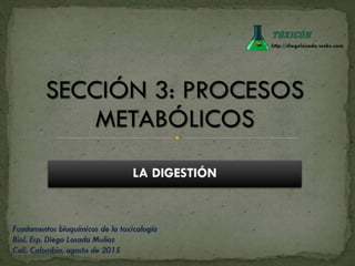 Digestión y procesos metabólicos