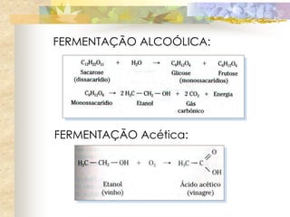 FERMENTAÇÃO ALCOÓLICA:




FERMENTAÇÃO Acética:
 