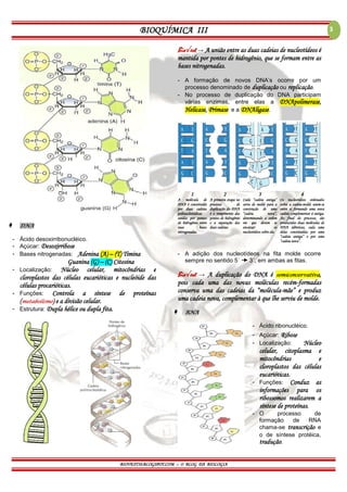 BIOQUÍMICA III
BIOVEST10.BLOGSPOT.COM – O BLOG DA BIOLOGIA
3
 DNA
- Ácido desoxirribonucléico.
- Açúcar: Desoxirribose
- Bases nitrogenadas: Adenina (A) – (T) Timina
Guanina (G) – (C) Citosina
- Localização: Núcleo celular, mitocôndrias e
cloroplastos das células eucarióticas e nucleóide das
células procarióticas.
- Funções: Controla a síntese de proteínas
(metabolismo) e a divisão celular.
- Estrutura: Dupla hélice ou dupla fita.
Bio√est → A união entre as duas cadeias de nucleotídeos é
mantida por pontes de hidrogênio, que se formam entre as
bases nitrogenadas.
- A formação de novos DNA’s ocorre por um
processo denominado de duplicação ou replicação.
- No processo de duplicação do DNA participam
várias enzimas, entre elas a DNApolimerase,
Helicase, Primase e a DNAligase.
1 2 3 4
A molécula de
DNA é constituída
por duas cadeias
polinucleotídicas
unidas por pontes
de hidrogênio entre
suas bases
nitrogenadas.
A primeira etapa no
processo de
duplicação do DNA
é o rompimento das
pontes de hidrogênio
e a separação das
duas cadeias.
Cada “cadeia antiga”
serve de molde para a
construção de uma
“cadeia nova”,
determinando a ordem
em que devem se
encaixar os
nucleotídeos sobre ela.
Os nucleotídeos ordenados
sobre a cadeia-molde unem-se
entre si formando uma nova
cadeia complementar à antiga.
Ao final do processo, são
produzidas duas moléculas de
DNA idênticas, cada uma
delas constituídas por uma
“cadeia antiga” e por uma
“cadeia nova”.
- A adição dos nucleotídeos na fita molde ocorre
sempre no sentido 5´ 3´, em ambas as fitas.
Bio√est → A duplicação do DNA é semiconservativa,
pois cada uma das novas moléculas recém-formadas
conserva uma das cadeias da “molécula-mãe” e produz
uma cadeia nova, complementar à que lhe serviu de molde.
 RNA
- Ácido ribonucléico.
- Açúcar: Ribose
- Localização: Núcleo
celular, citoplasma e
mitocôndrias e
cloroplastos das células
eucarióticas.
- Funções: Conduz as
informações para os
ribossomos realizarem a
síntese de proteínas.
- O processo de
formação de RNA
chama-se transcrição e
o de síntese protéica,
tradução.
 